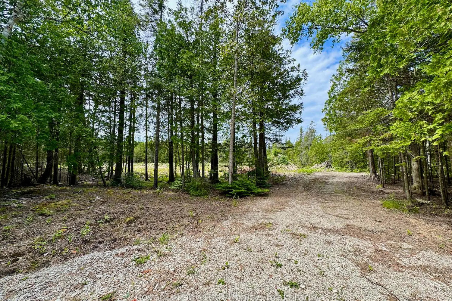 Additional image 13 of 104 Little Pine Drive