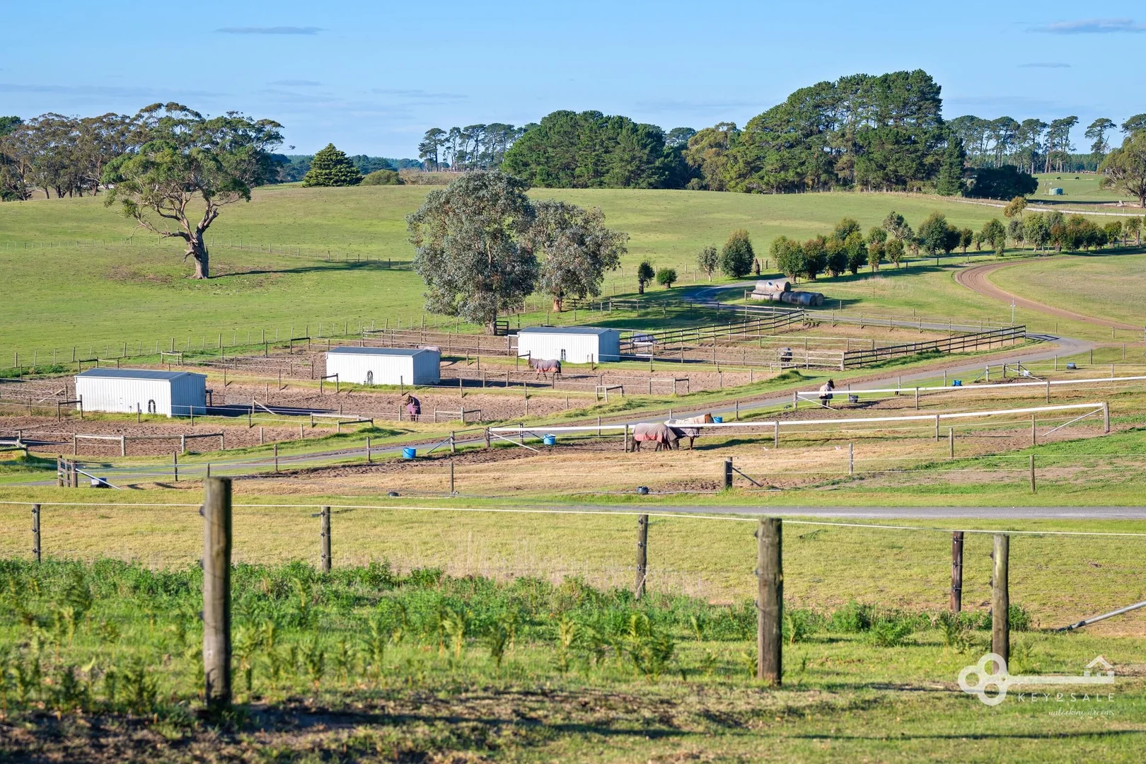 Additional image 25 of 72 Brown Road, Glenburnie SA 5291