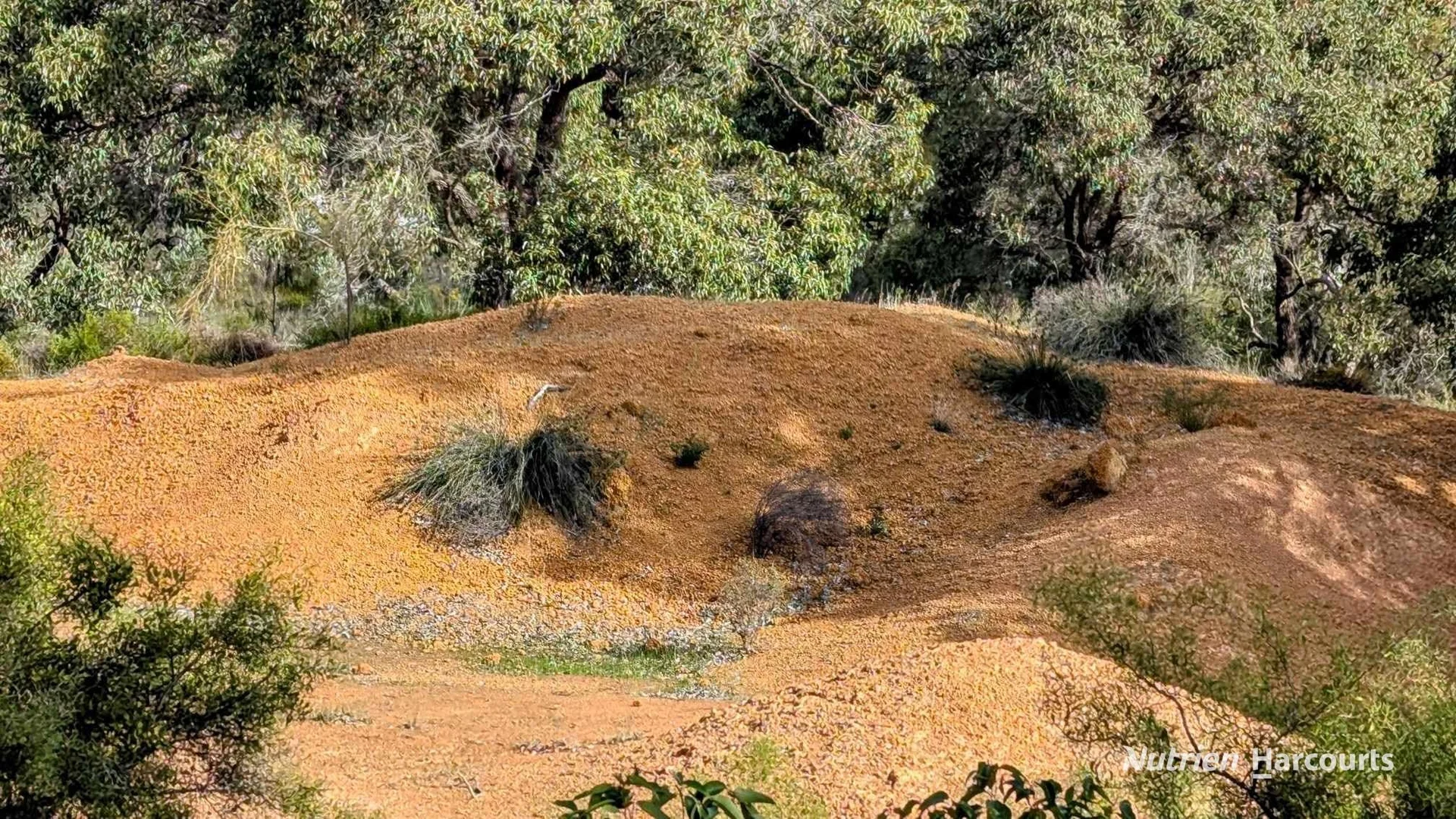 Additional image 28 of 5428 Brand Highway, Boonanarring, Gingin WA 6503