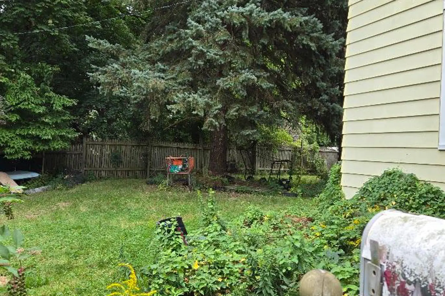 Additional image 15 of 4340 Elgin Street