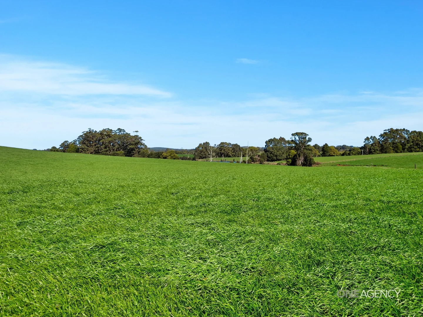 Additional image 9 of 418 Back Line Road, Forest TAS 7330