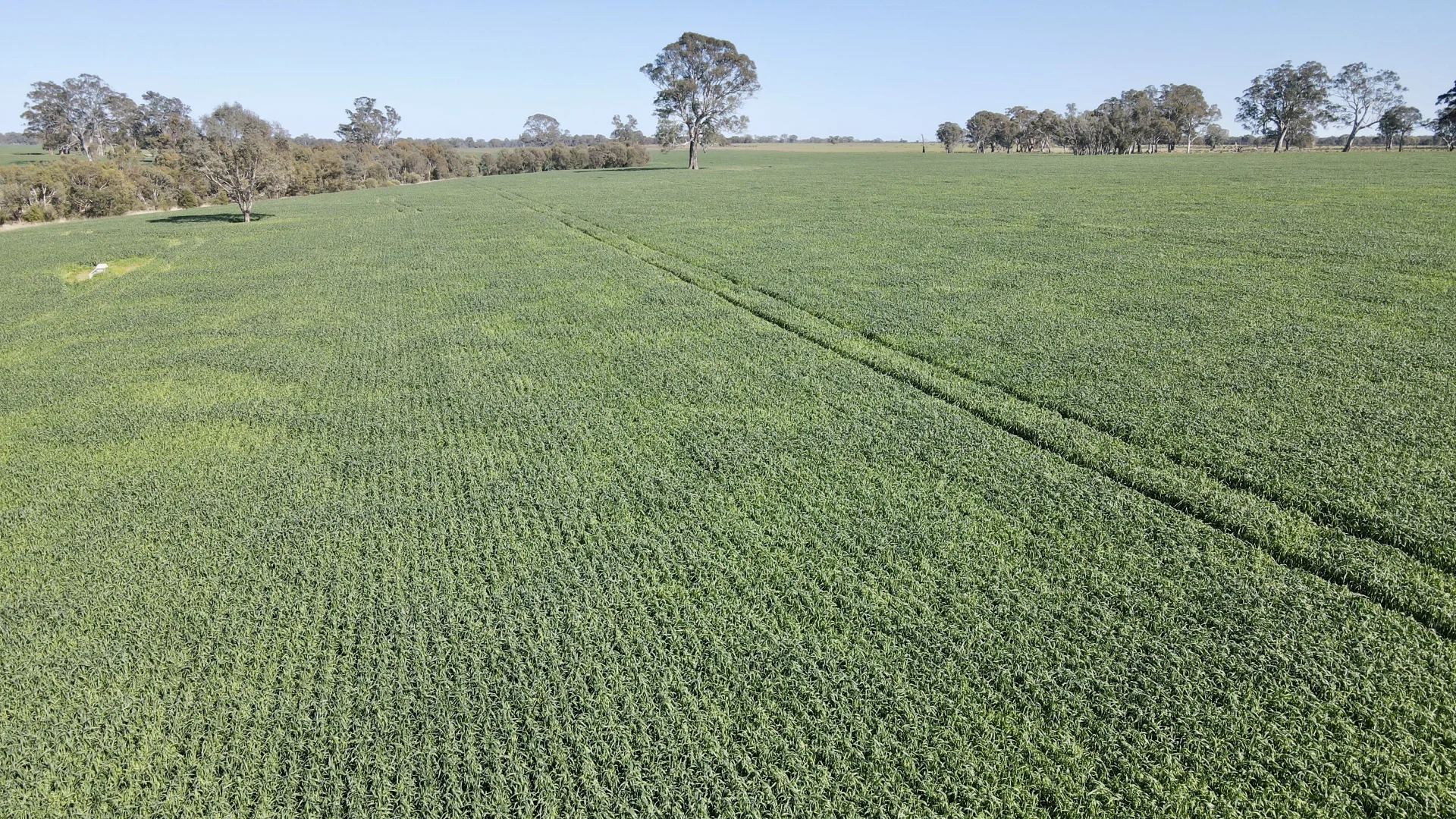 Additional image 10 of 173 Mcclures Rd, Connewirricoo VIC 3318