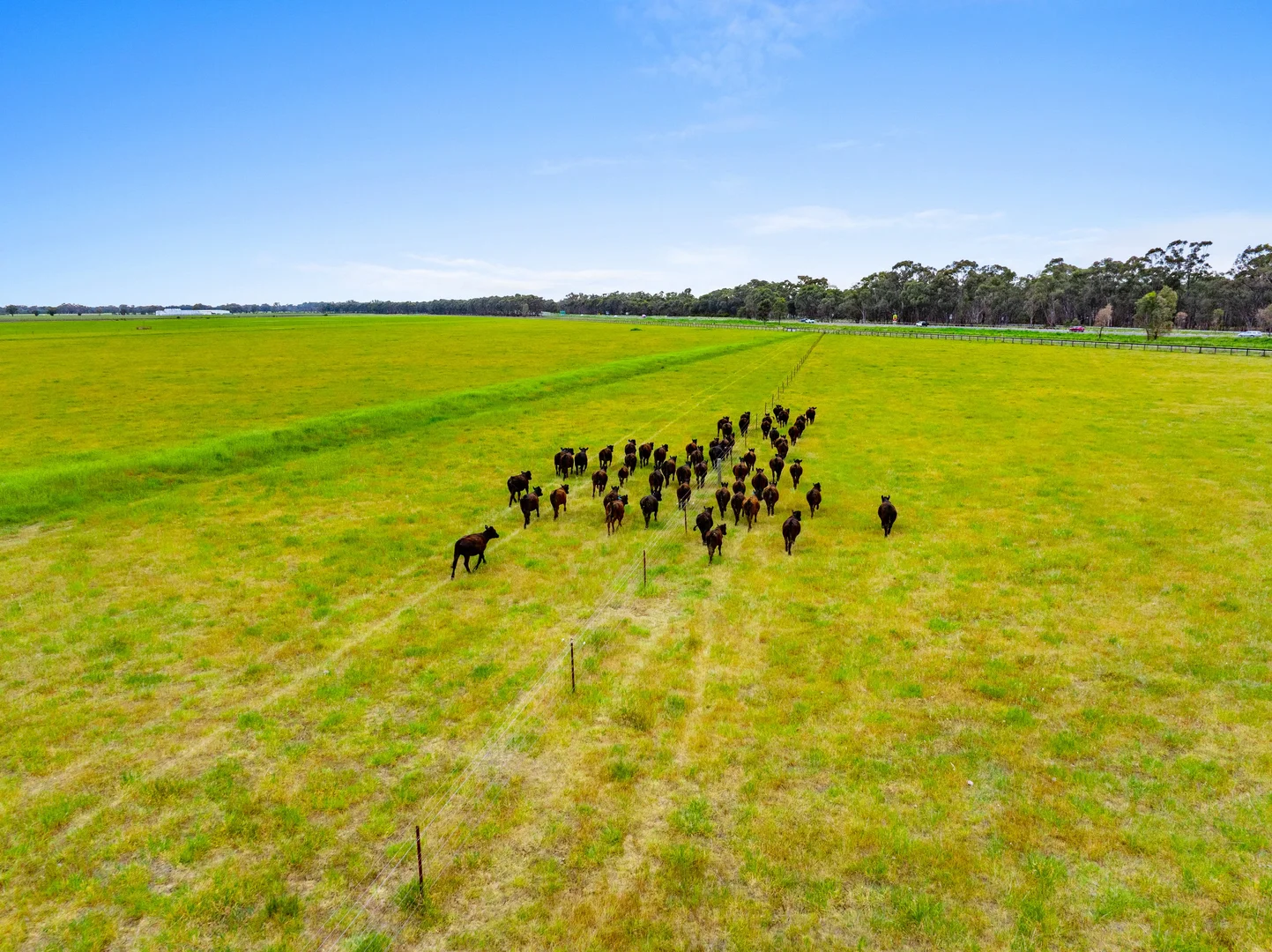 Additional image 12 of 431 Morningside Road, Wahring VIC 3608