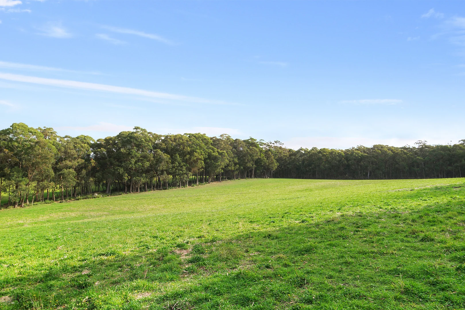 Additional image 19 of 51 & 53 Shierlaw Road, Robertson NSW 2577