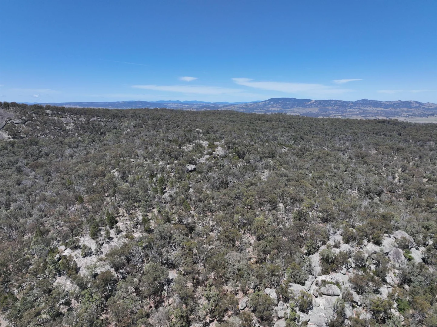 Additional image 30 of Lot 1 Brusharbers Road, Tenterfield NSW 2372