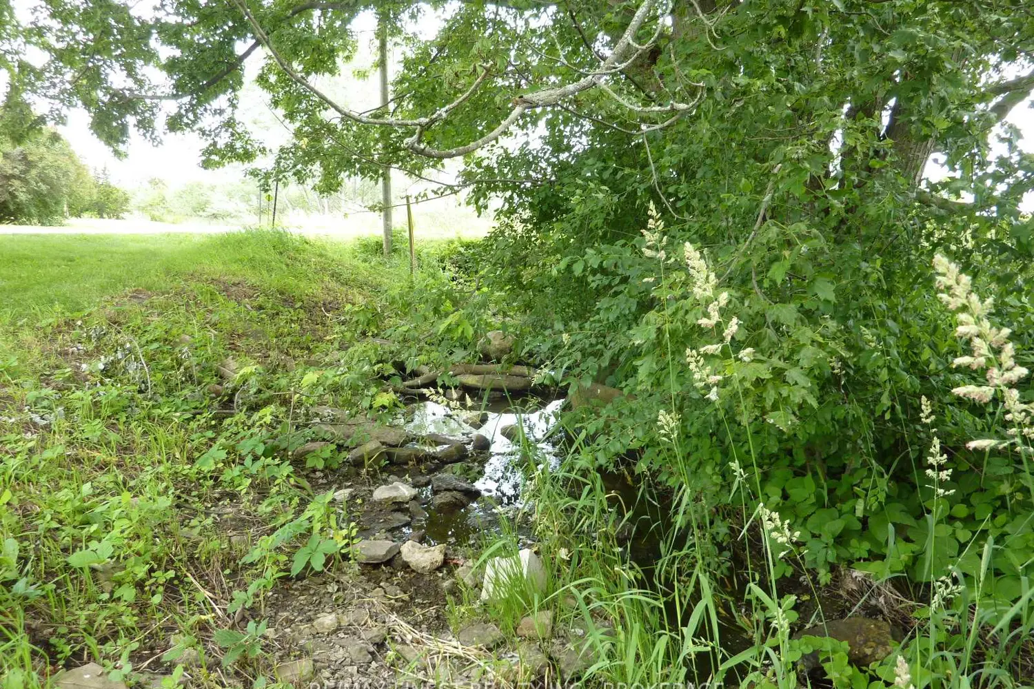 Additional image 20 of 2935 County Road 9