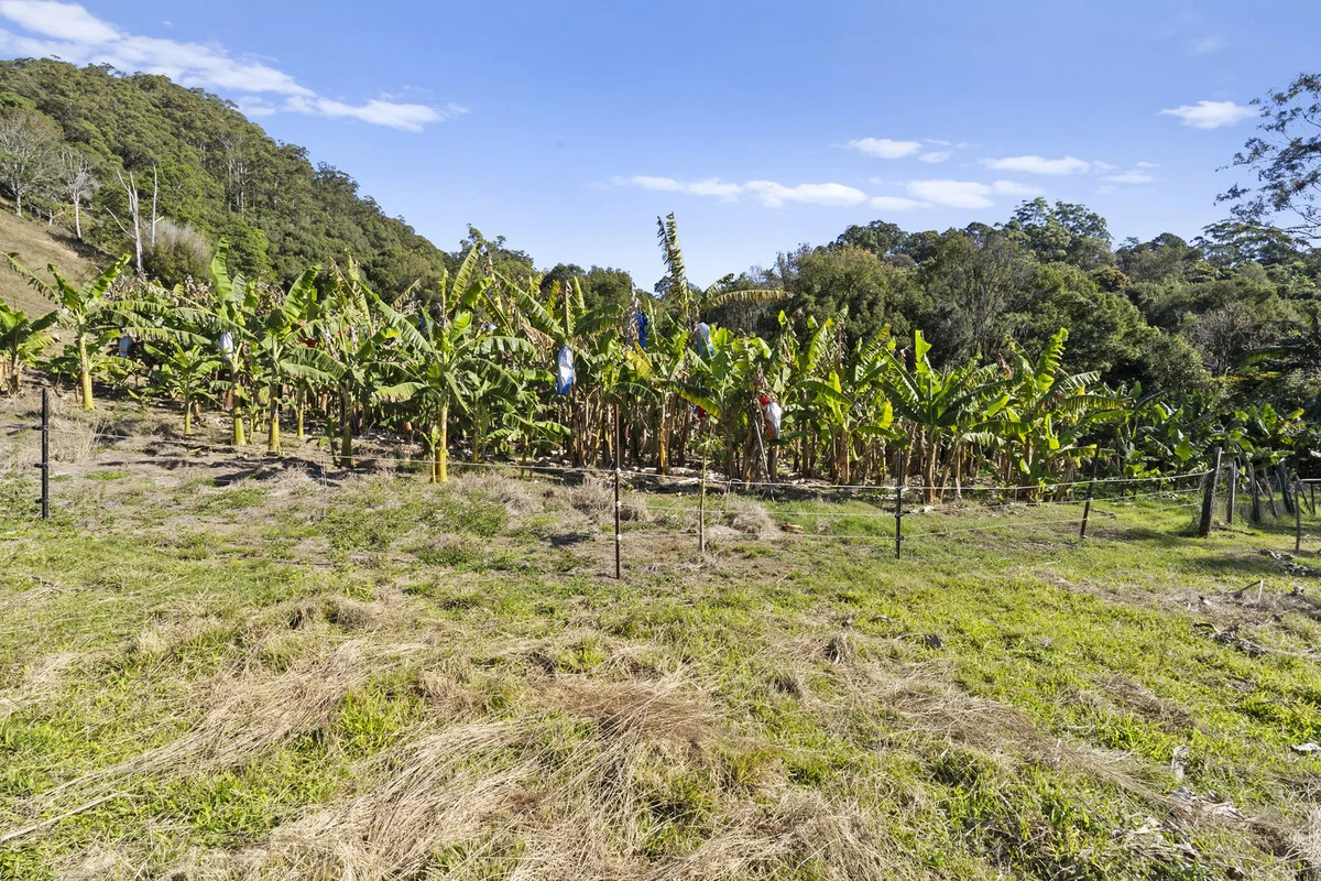 Additional image 22 of 536 Cudgera Creek Road, Cudgera Creek NSW 2484