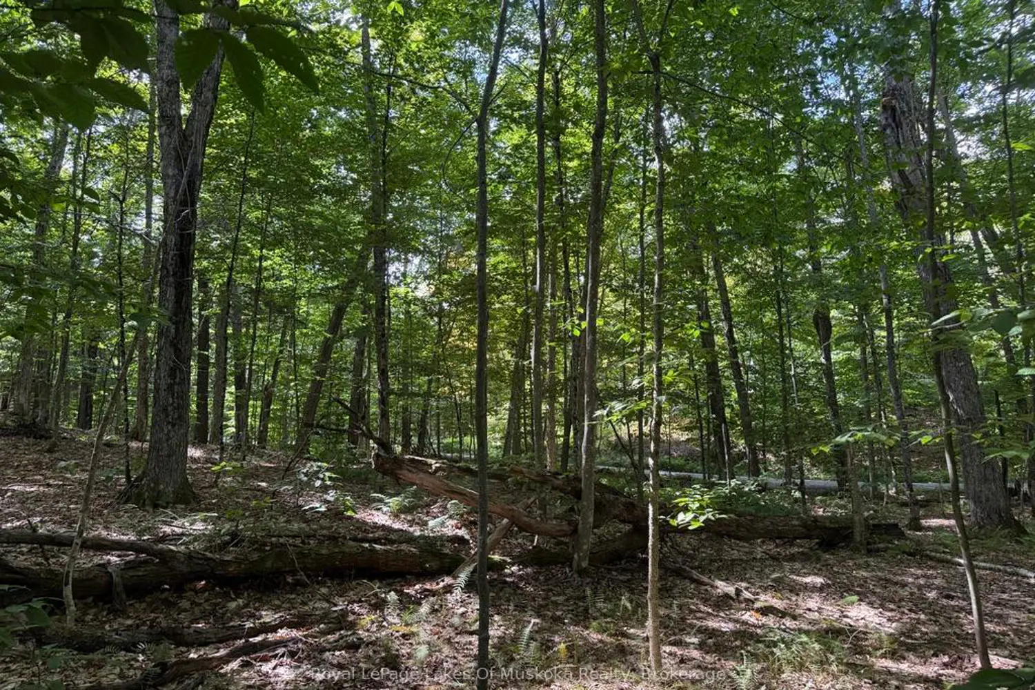 Additional image 7 of Lot 85 Brennan Circle