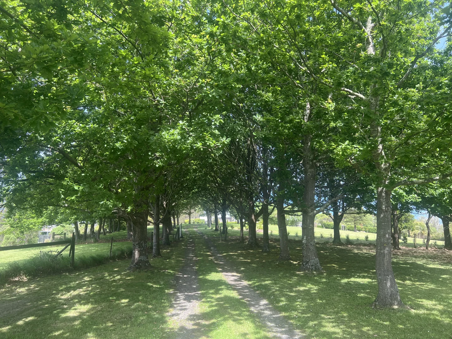 Additional image 24 of 50 Beattie Lane, Wongarra VIC 3234