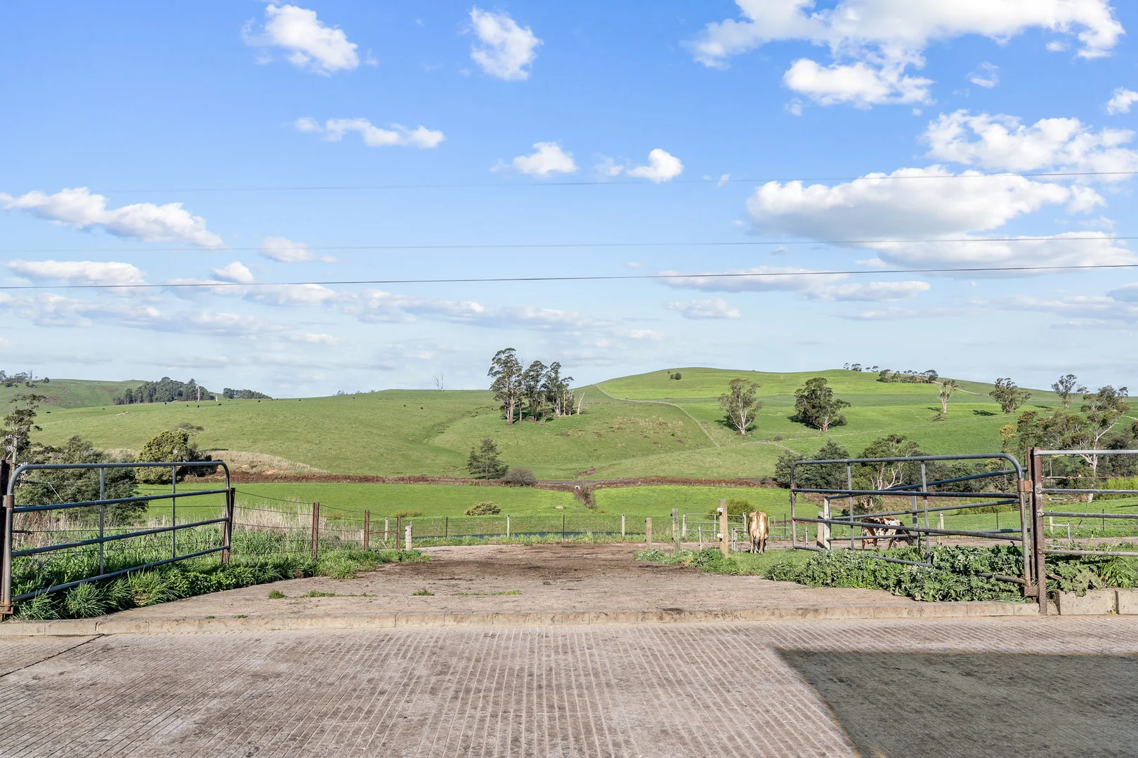 Additional image 9 of . Gaffneys Road, Moltema TAS 7304
