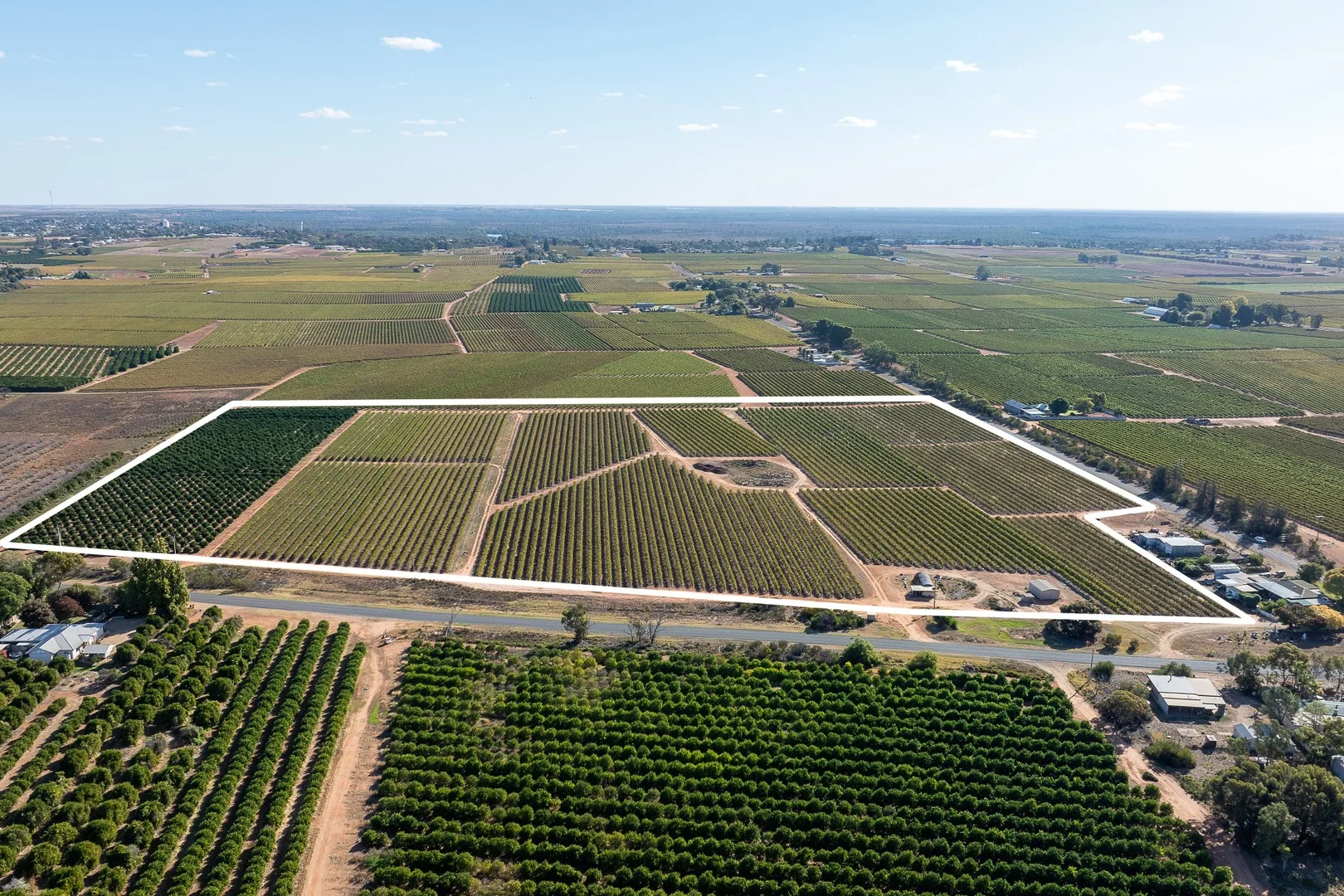 2 Balfour Ogilvy Avenue, Loxton SA 5333