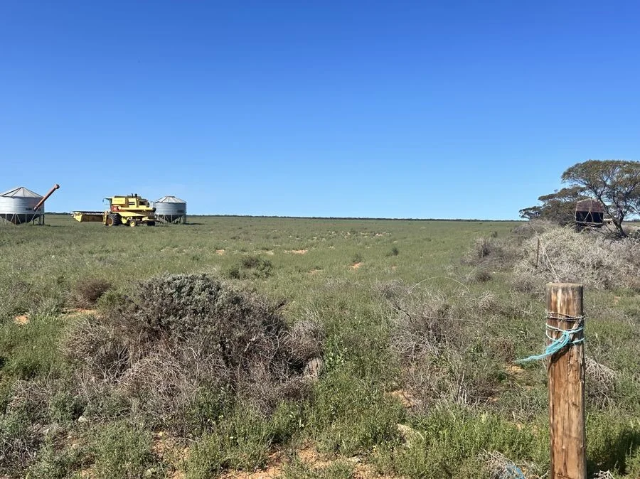 Additional image 3 of Section 114 264 Philips Road, Minbrie SA 5602