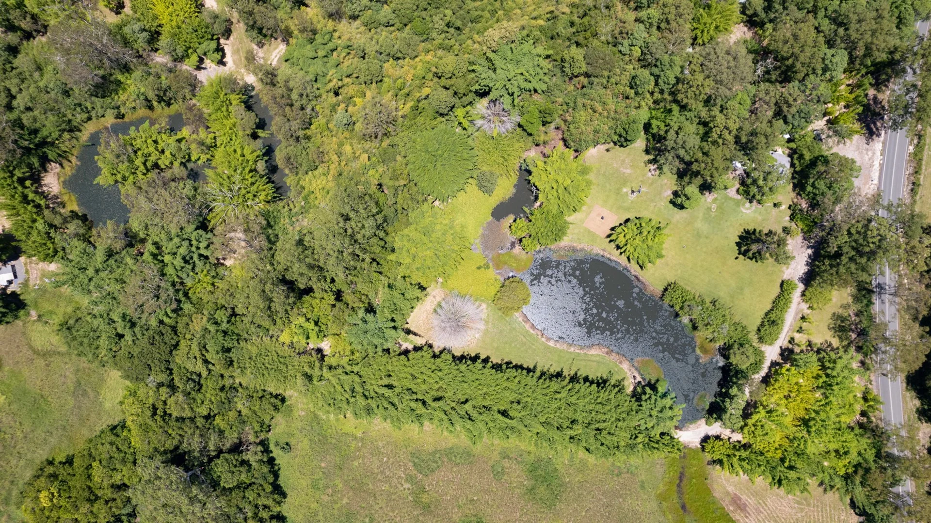 Additional image 17 of 1171 Eumundi - Kenilworth Road, Belli Park QLD 4562