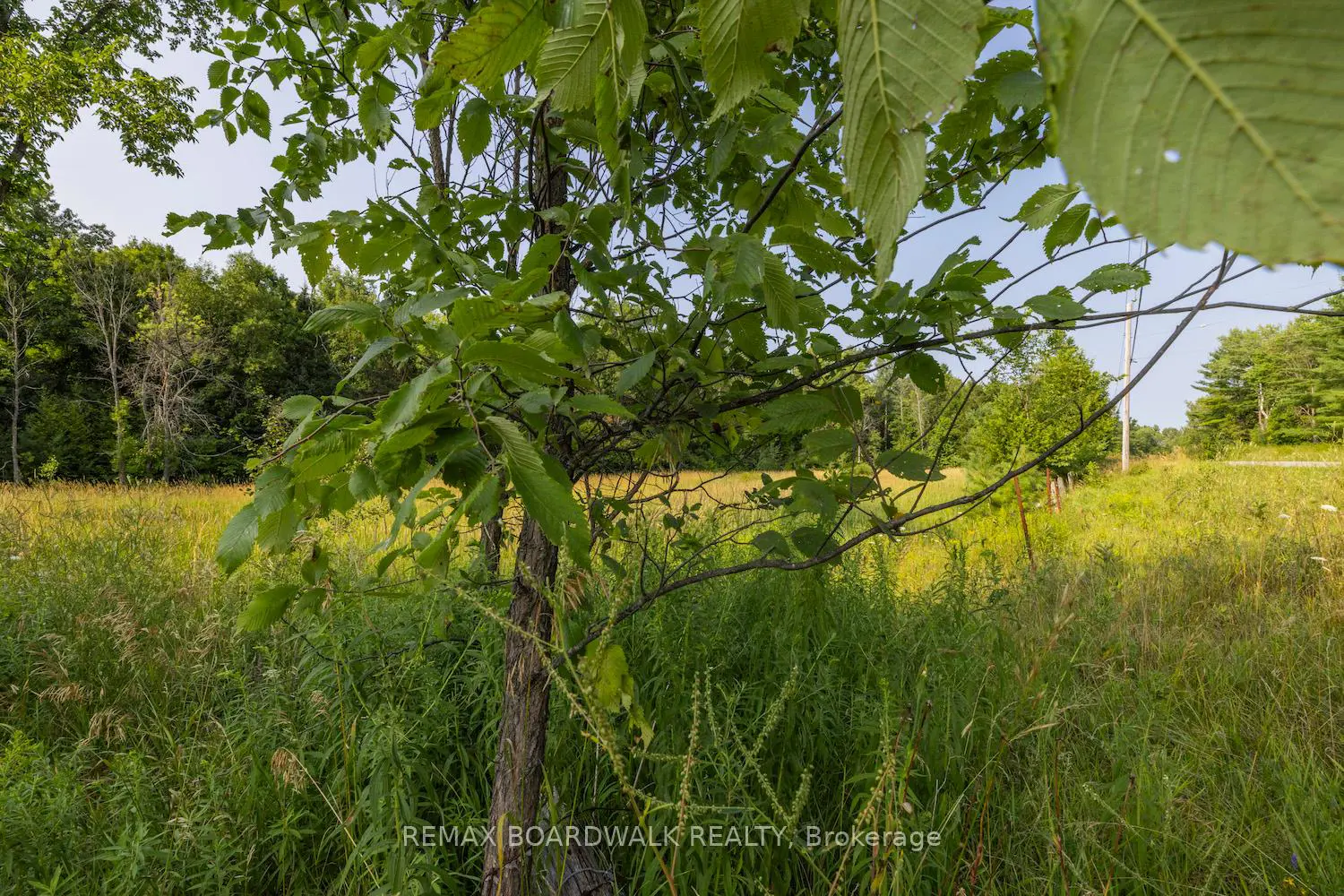 Additional image 3 of 752 Bennett Lake Road