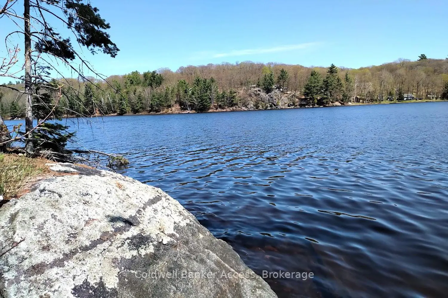 Additional image 6 of 153 Highway 124