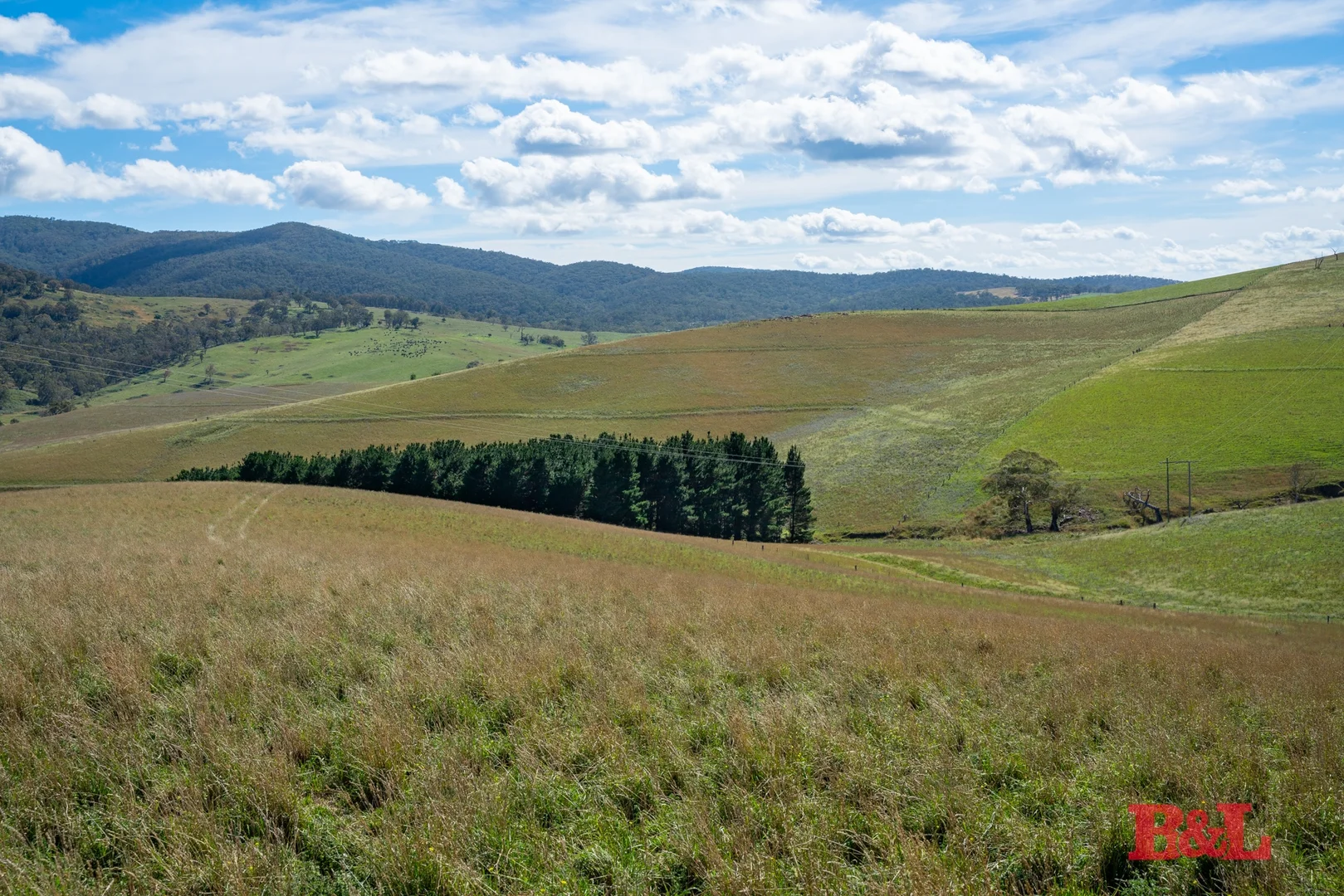 Additional image 6 of Lot 1/976 Sodwalls Road, Tarana NSW 2787