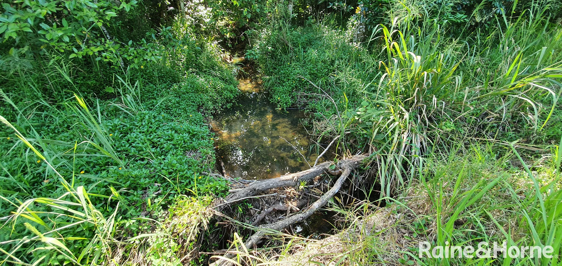 Additional image 33 of Lot 81 Cape Tribulation Road, DIWAN,, Daintree QLD 4873