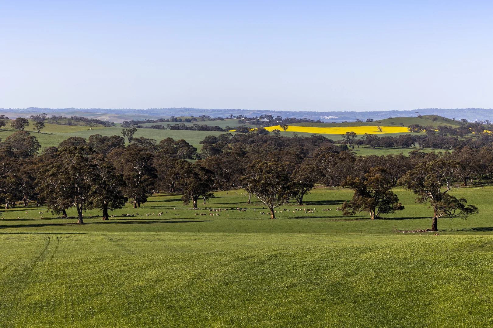 Additional image 23 of 829 Anlaby Road, Hamilton SA 5373