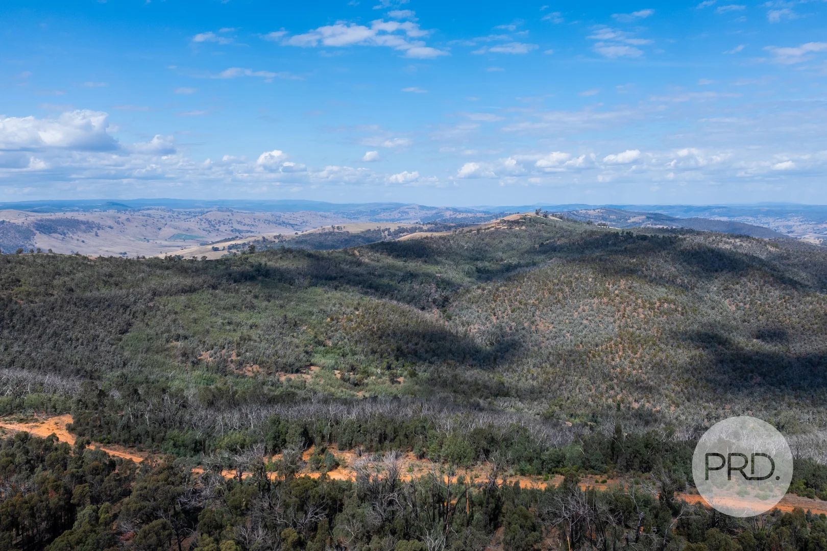 Additional image 53 of 294 Stewarts Road, Oberne Creek NSW 2650
