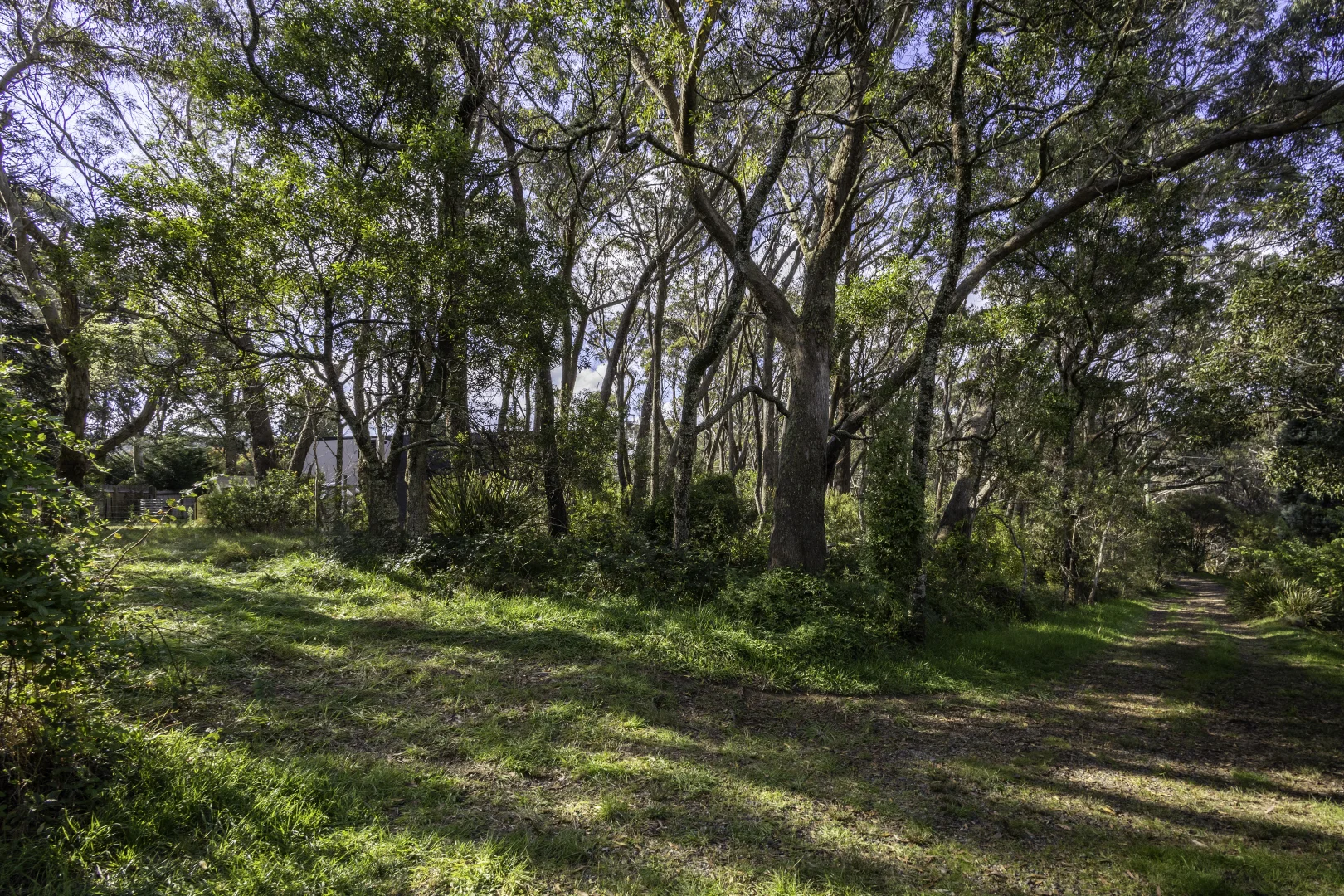 Additional image 4 of 5 Cleopatra Street, Blackheath NSW 2785