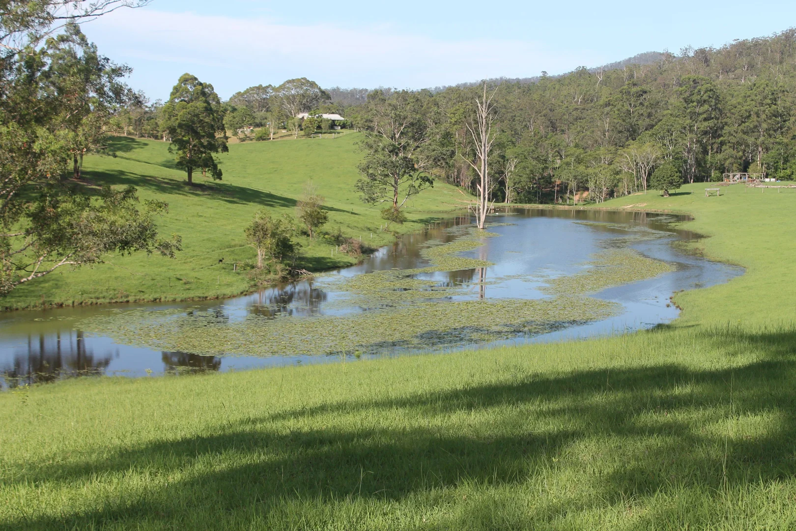 Additional image 9 of 71 SUNDOWNER ROAD, Bakers Creek NSW 2447