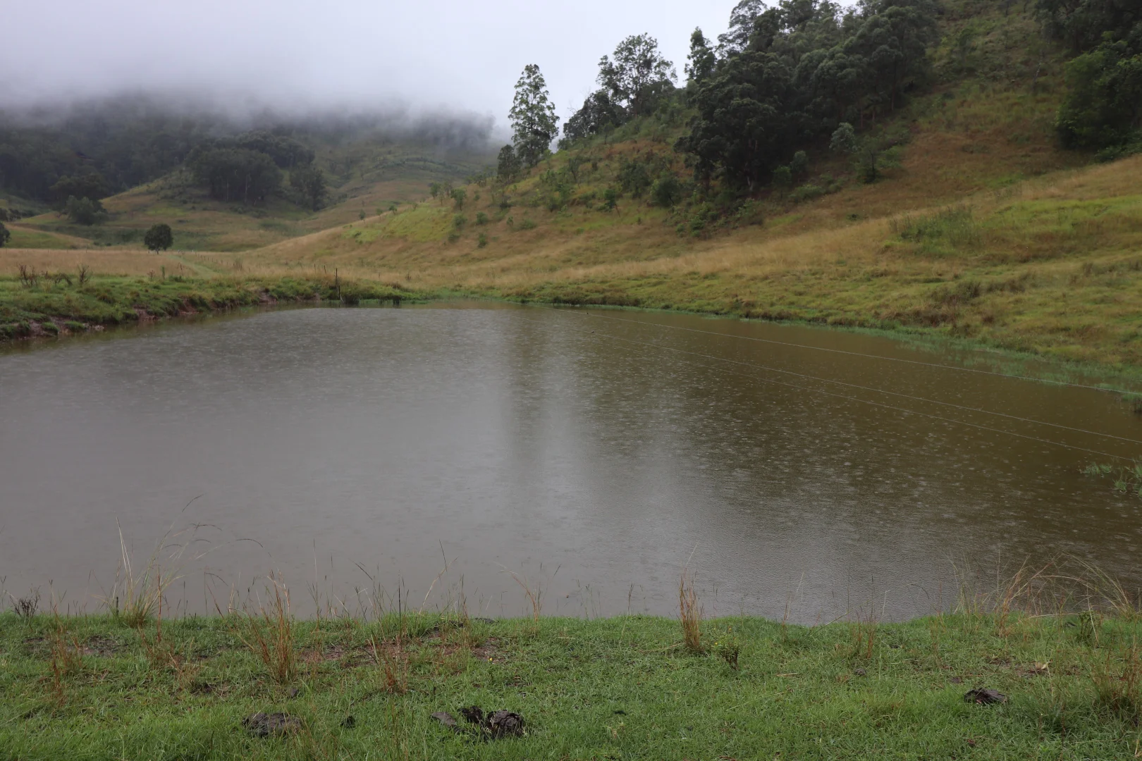 Additional image 25 of 95 Smiths Creek Road, Lower Creek NSW 2440