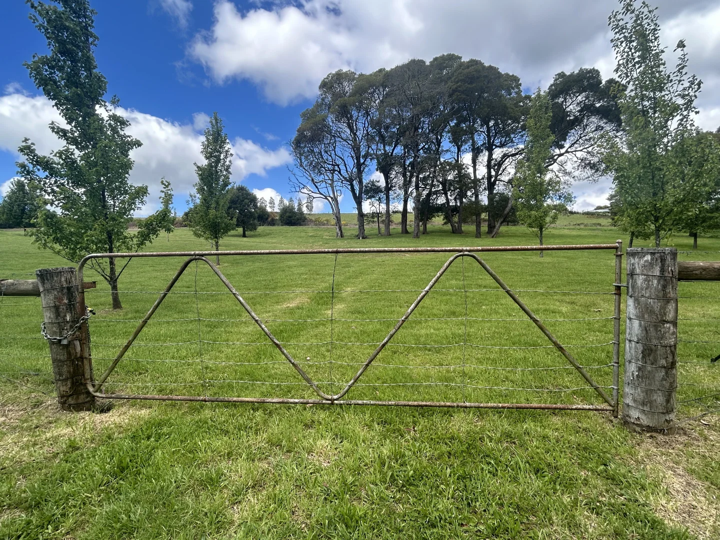 Additional image 25 of 1240 Daylesford-Trentham Road, Lyonville VIC 3461