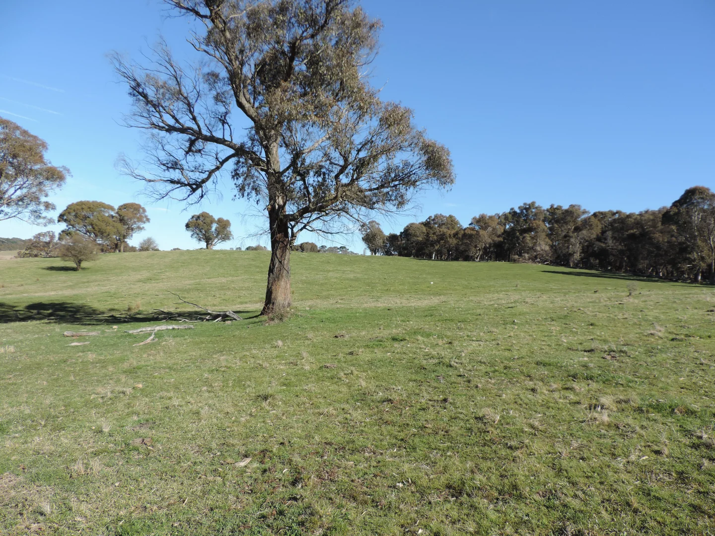 Additional image 6 of 25 Iron Mine Road, Crookwell NSW 2583