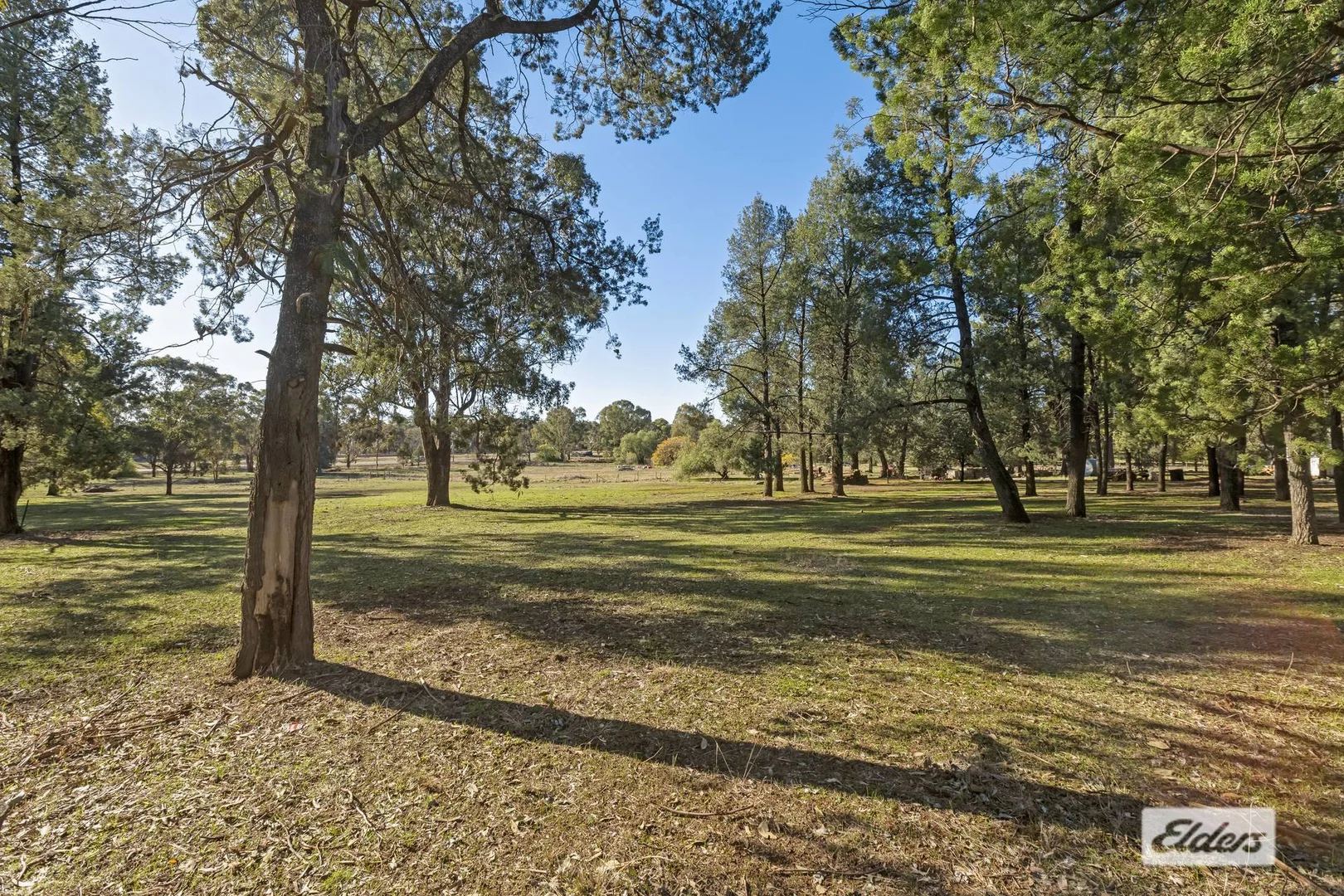 Additional image 5 of Lot 91 Pine Street, The Rock NSW 2655