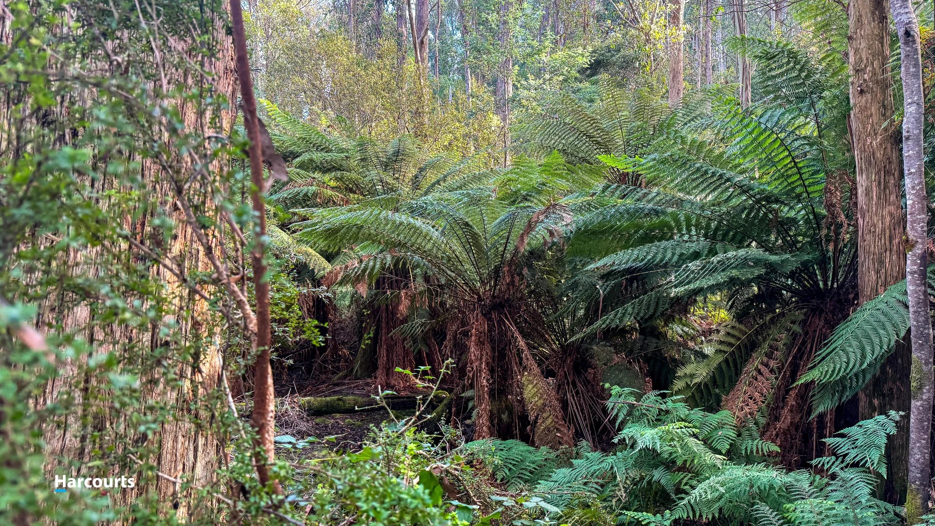 Additional image 14 of 90 Caseys Road, Nicholls Rivulet TAS 7112