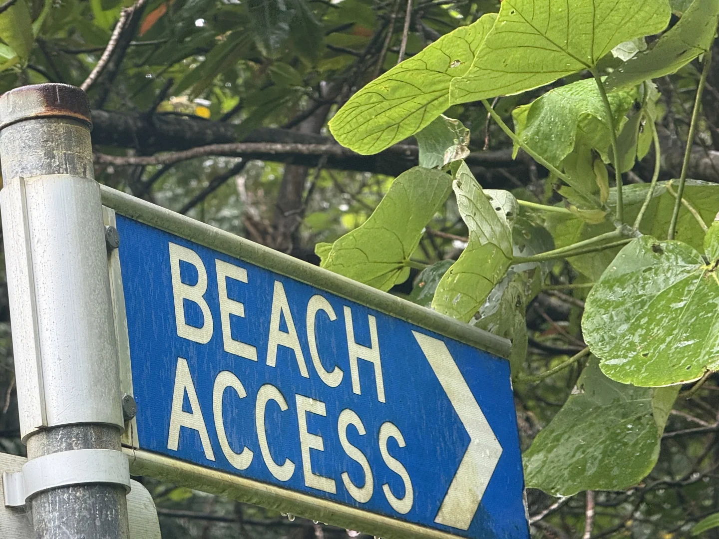 Additional image 10 of Lot 1 Holt Road, Garners Beach QLD 4852