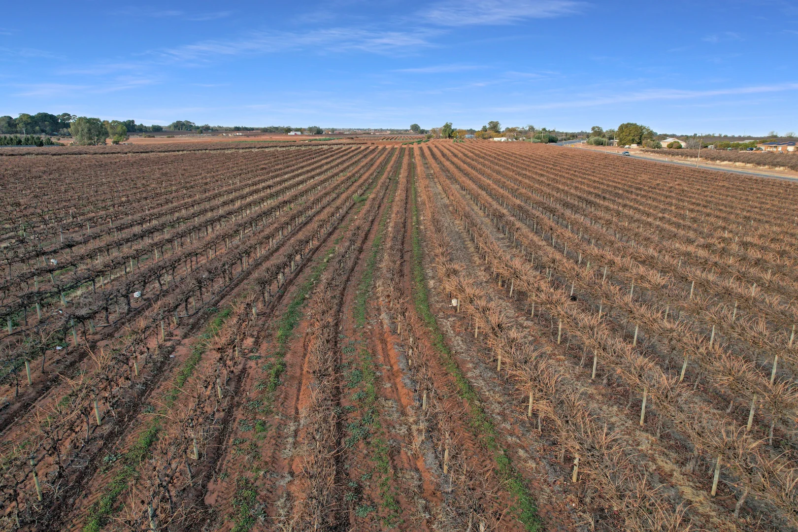 Additional image 4 of 57 Old Sturt Highway, Barmera SA 5345