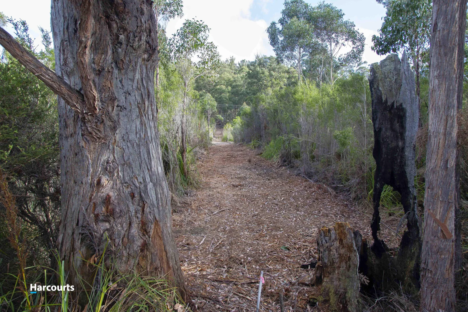 Additional image 11 of 623 Denison Road, Lonnavale TAS 7109