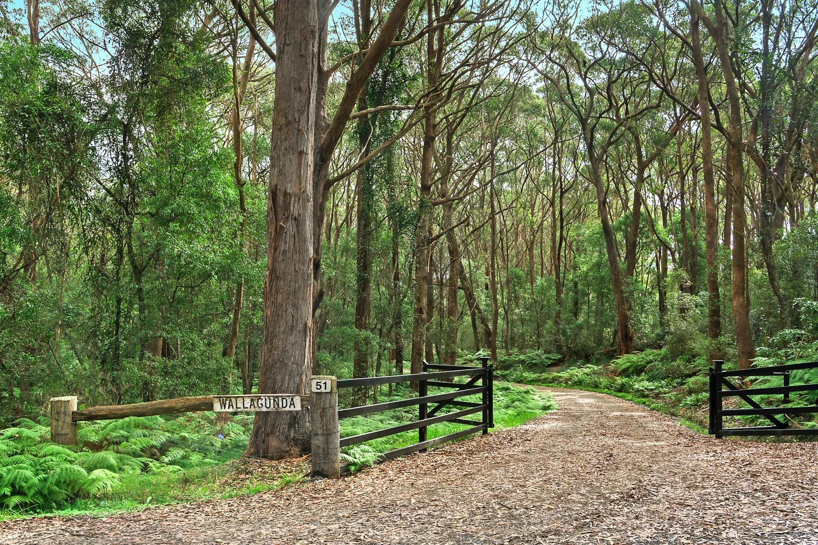 Additional image 28 of 51 & 53 Shierlaw Road, Robertson NSW 2577