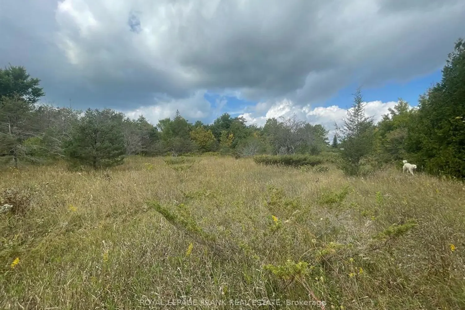 Additional image 4 of 00 Adams-Cummings Road