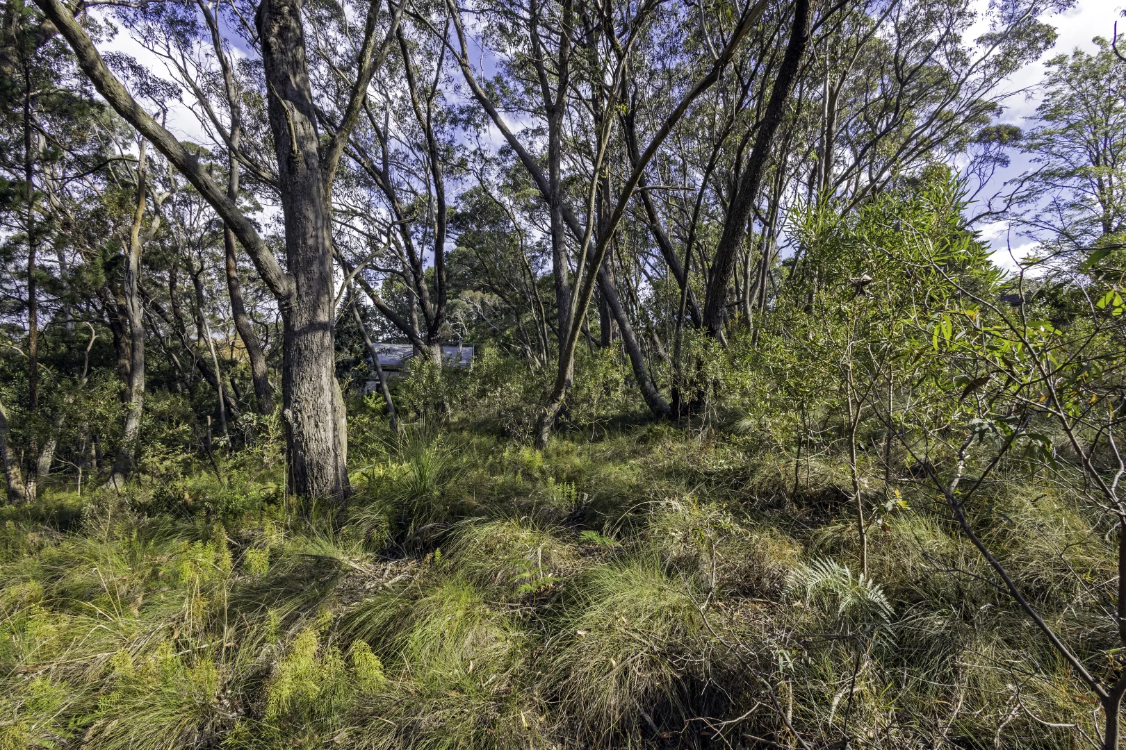 Additional image 6 of 5 Cleopatra Street, Blackheath NSW 2785