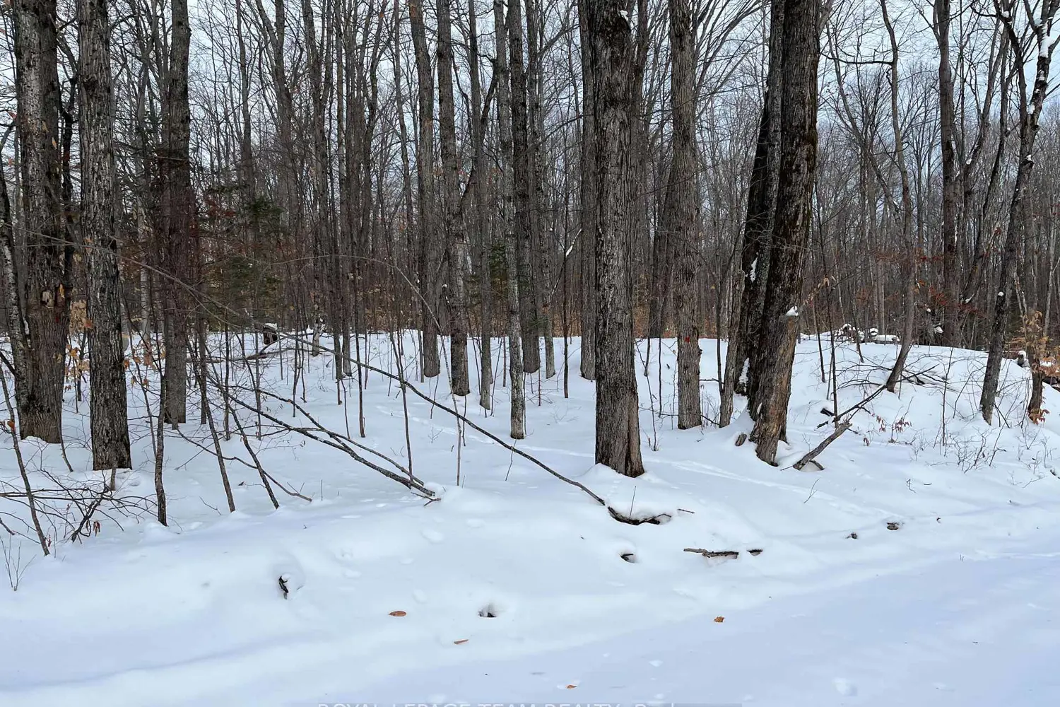 Additional image 4 of 01 Siberia Road