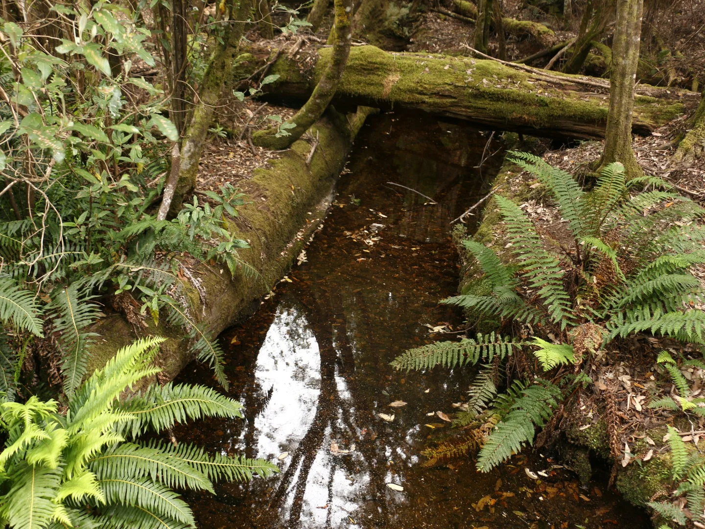 Additional image 7 of 78 Cethana Road, Cethana TAS 7306