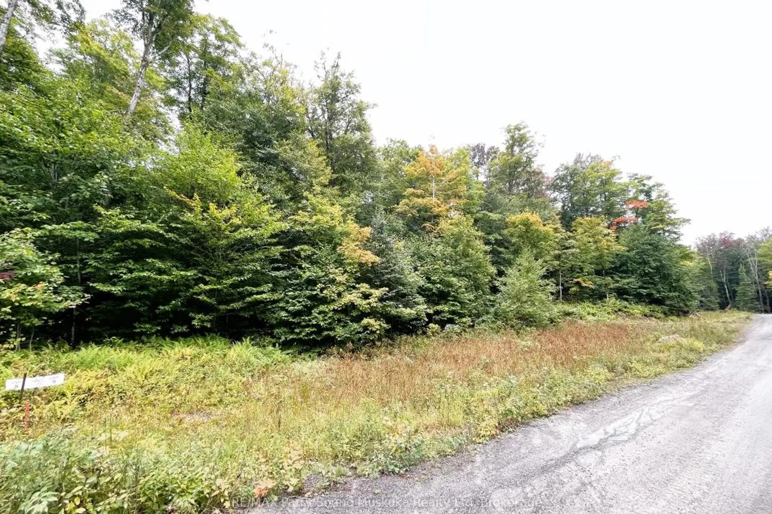 Additional image 3 of 75 Granite Drive