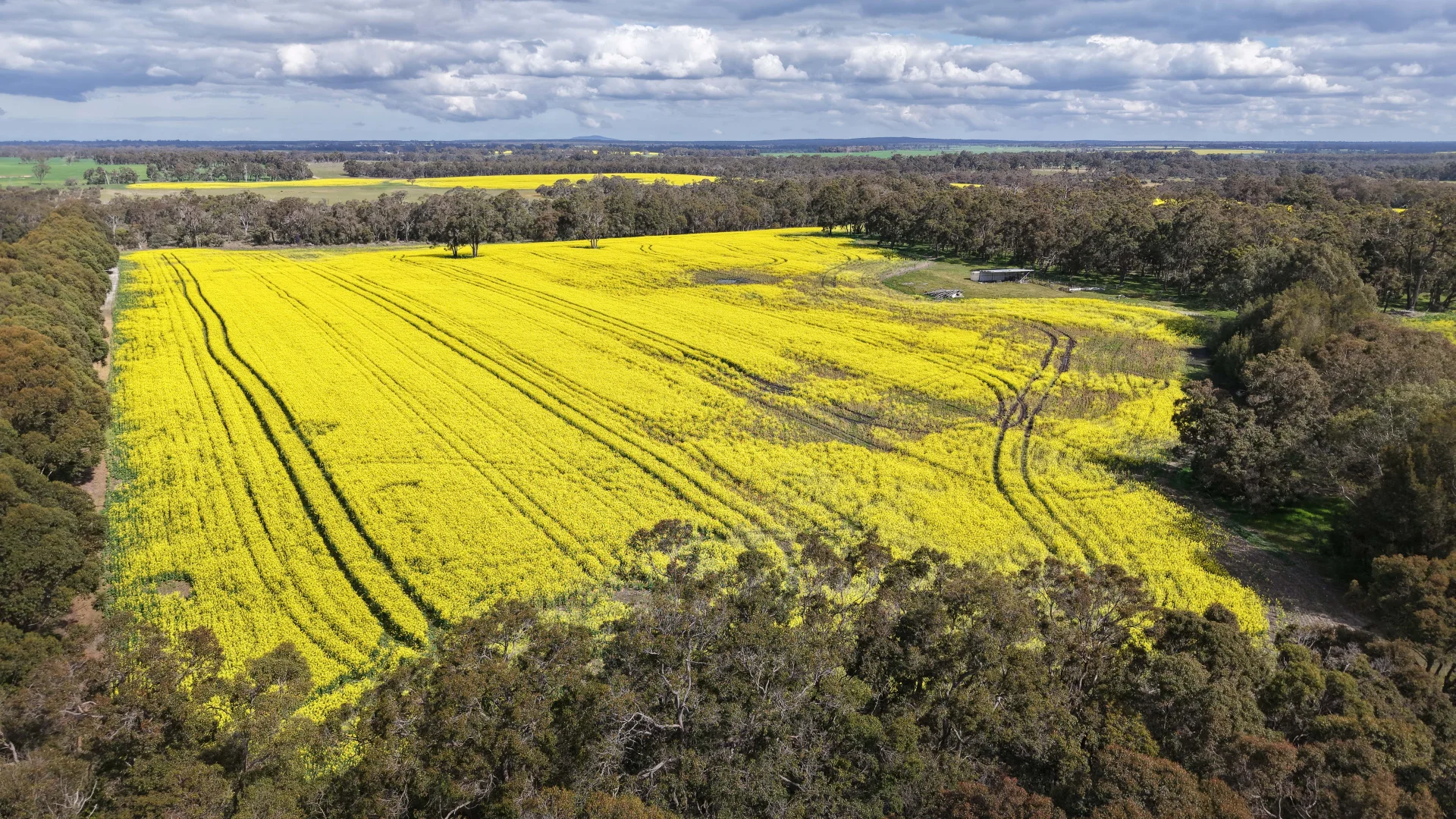 Additional image 2 of 171 Kwornicup Road, Forest Hill WA 6324