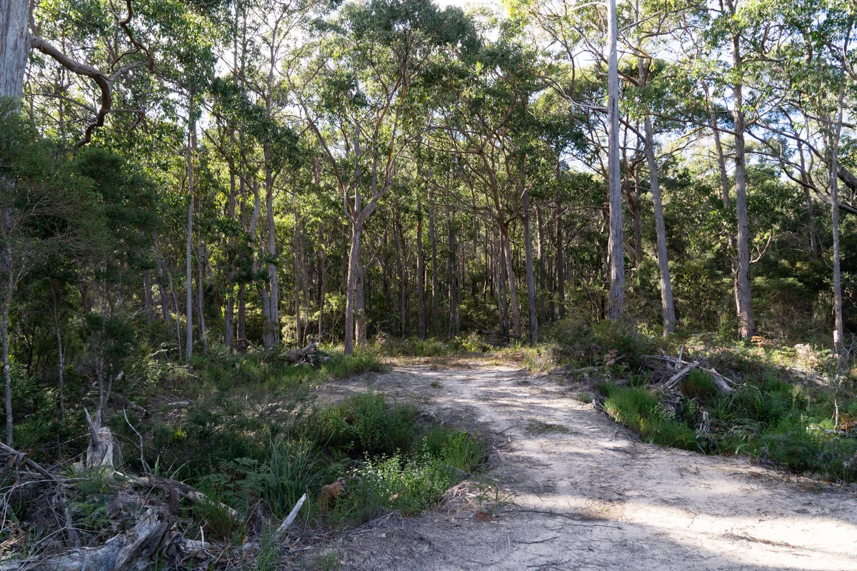 Additional image 11 of Lot 3 White Beach Road, White Beach TAS 7184