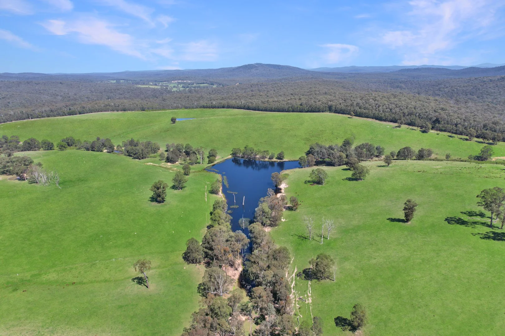 Additional image 18 of 151 Wattle Hill Road, Buchan South VIC 3885