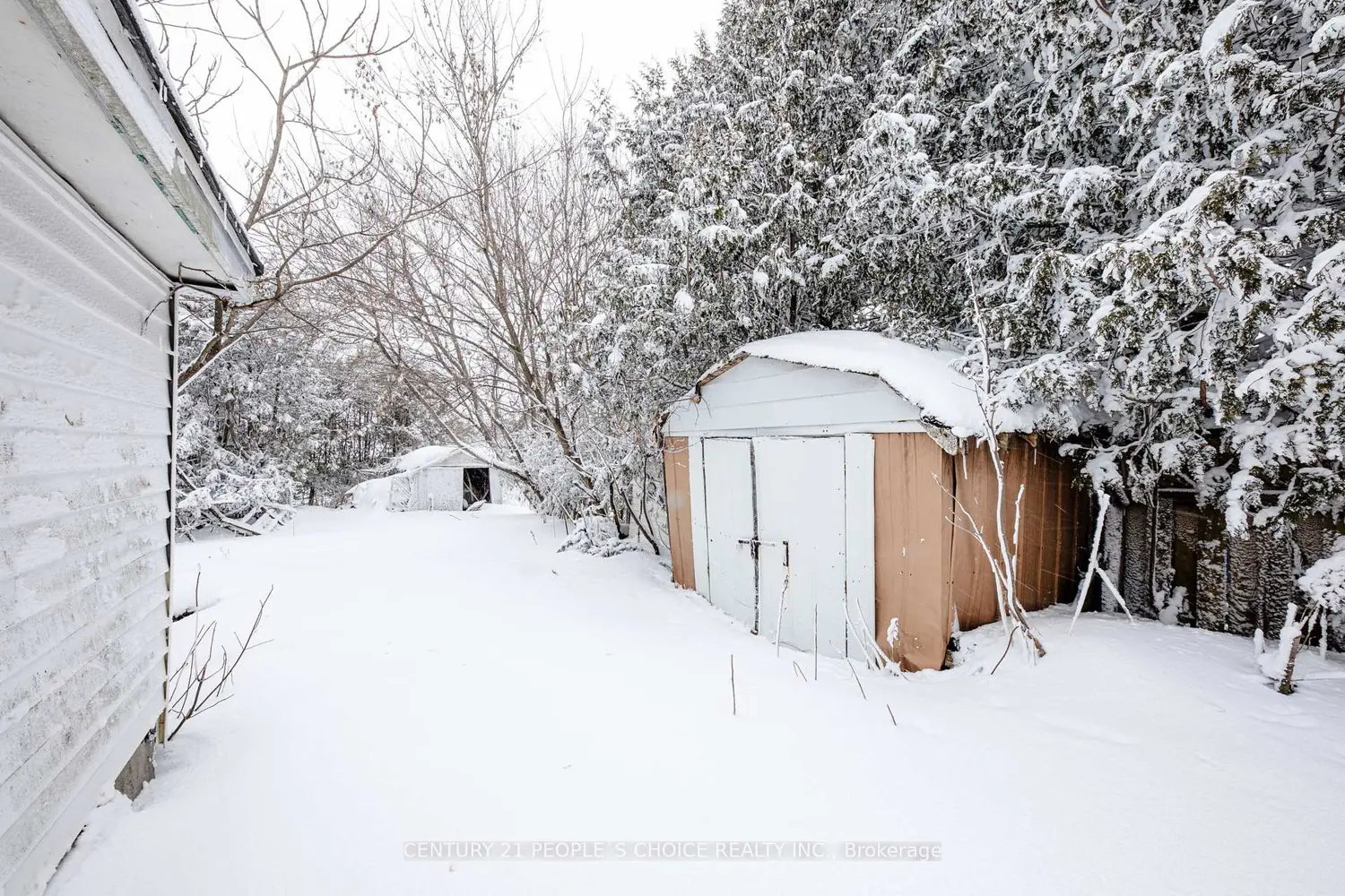 Additional image 6 of 250 Kingfisher Avenue