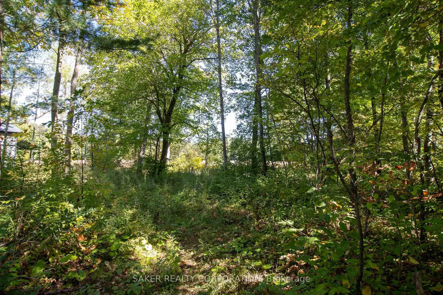 Additional image 9 of 22480 Troops Road