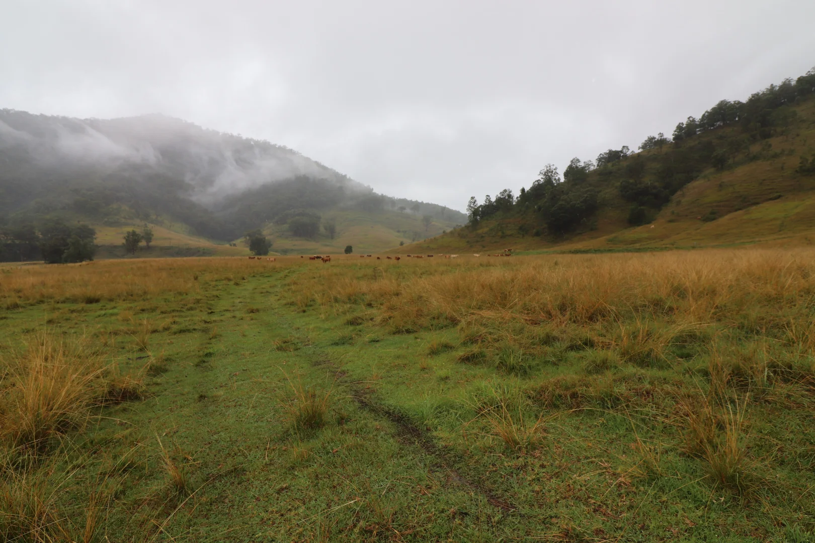 Additional image 29 of 95 Smiths Creek Road, Lower Creek NSW 2440