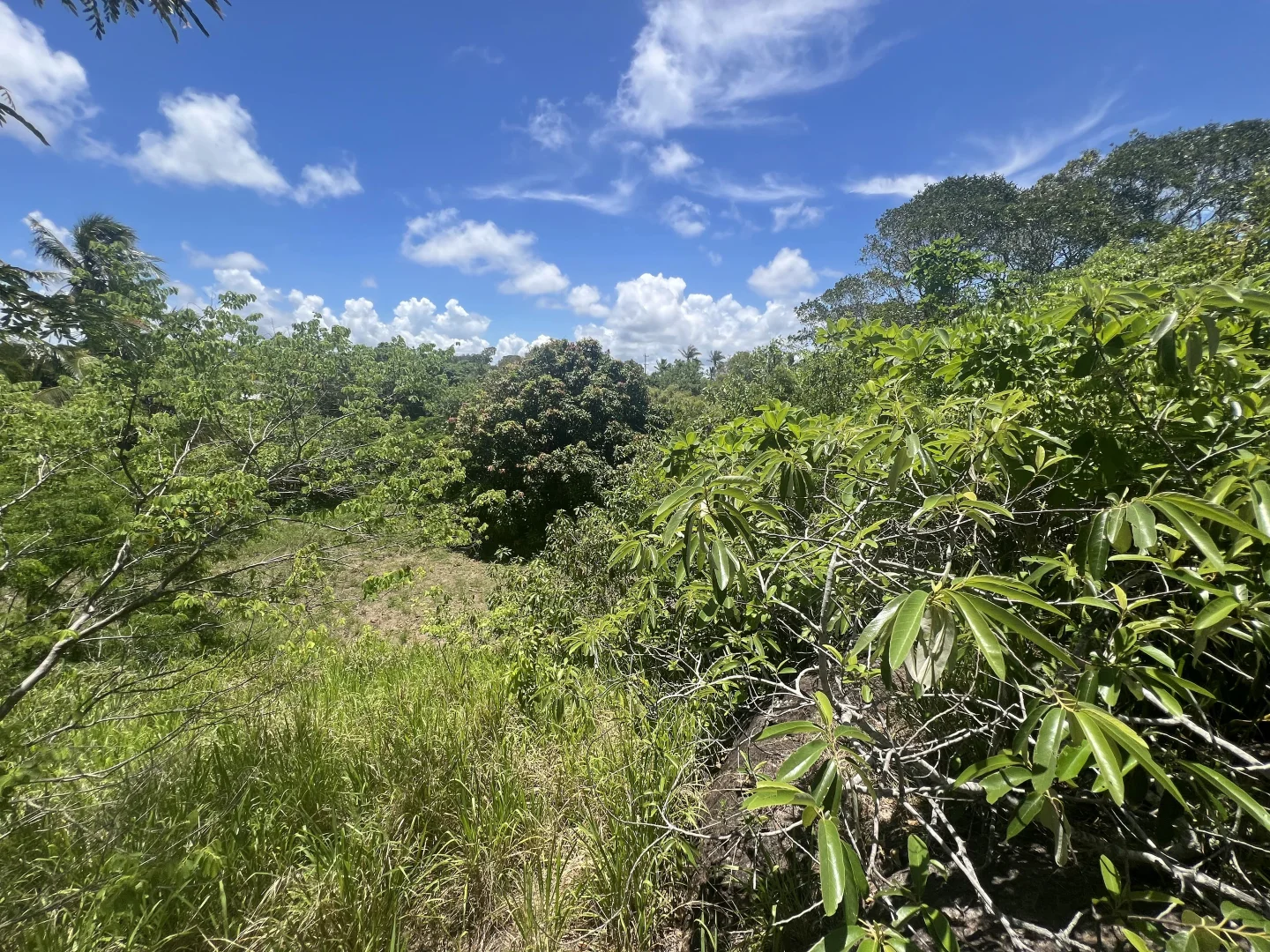 Additional image 4 of 13-15 Ann Street, Cooktown QLD 4895