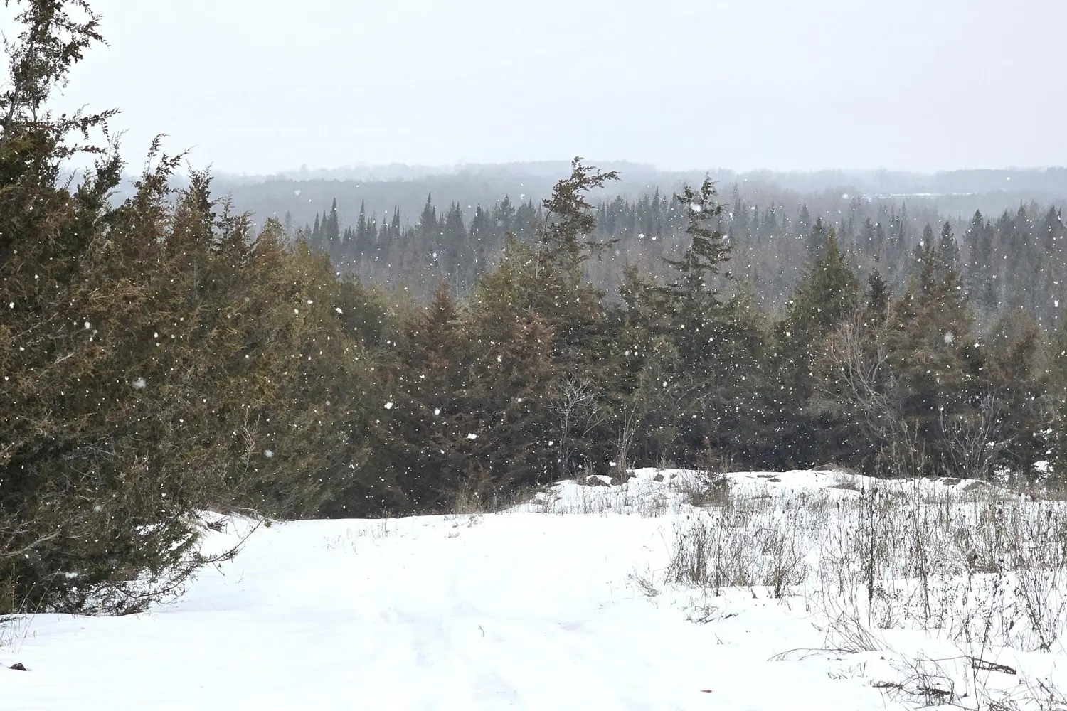 Additional image 16 of 0 Shannonville Road