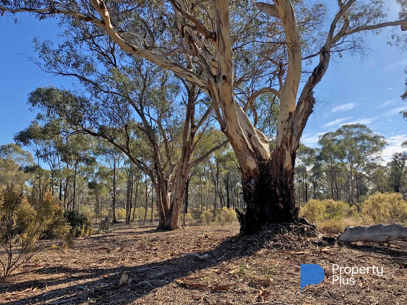 Additional image 5 of 1 Bendigo-Maryborough Road, Shelbourne VIC 3515