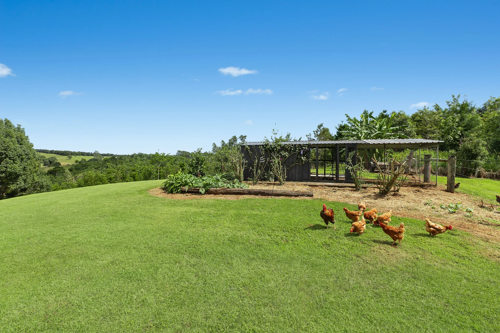 Additional image 20 of 74 Converys Lane, Wollongbar NSW 2477