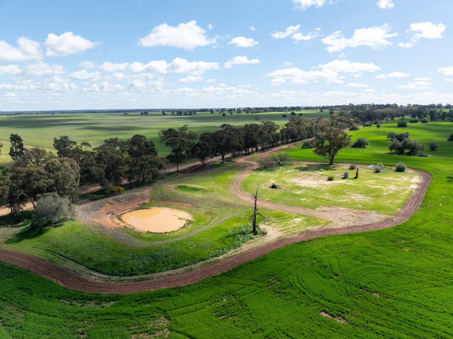 Additional image 3 of 532 Cottee Road, Currawarna NSW 2650